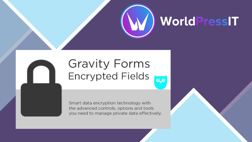 Gravity Forms Encrypted Fields