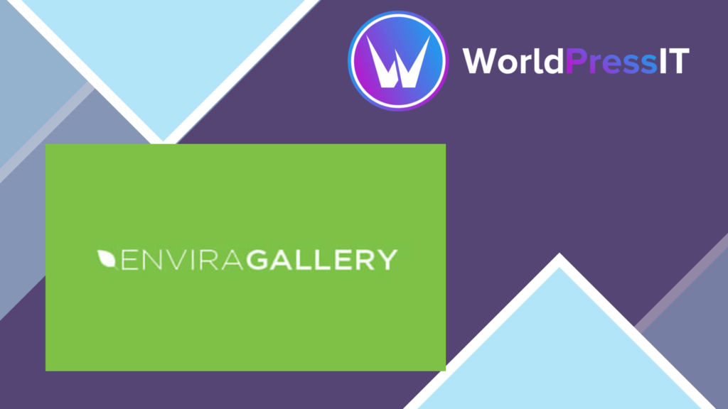 Envira Gallery EXIF Addon