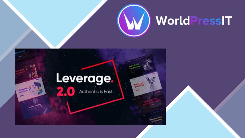 Leverage Agency And Portfolio Theme