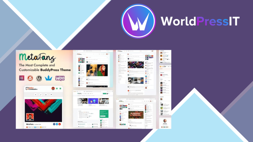 MetaFans Community and Social Theme
