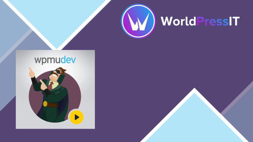 WPMU DEV Hustle