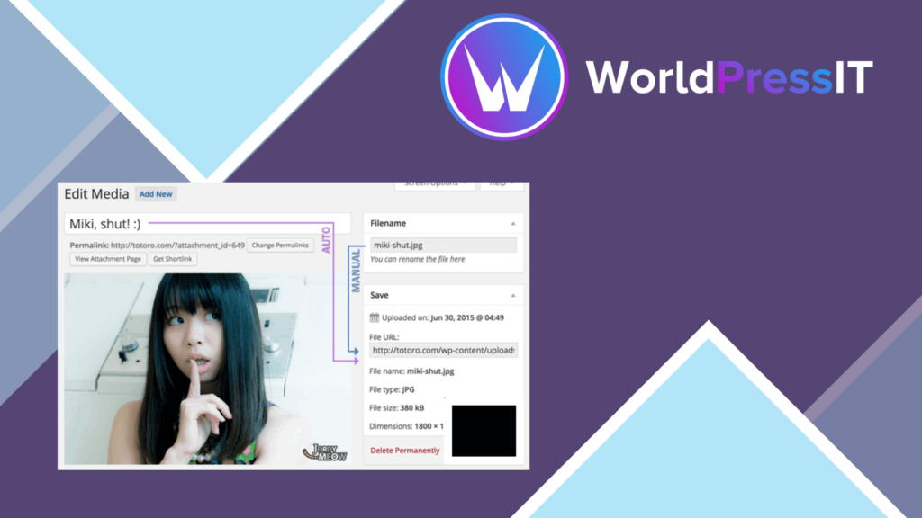 Media File Renamer Pro