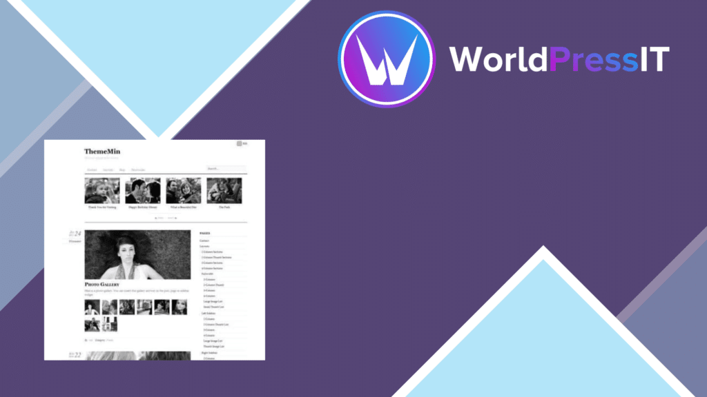 Themify ThemeMin WordPress Theme