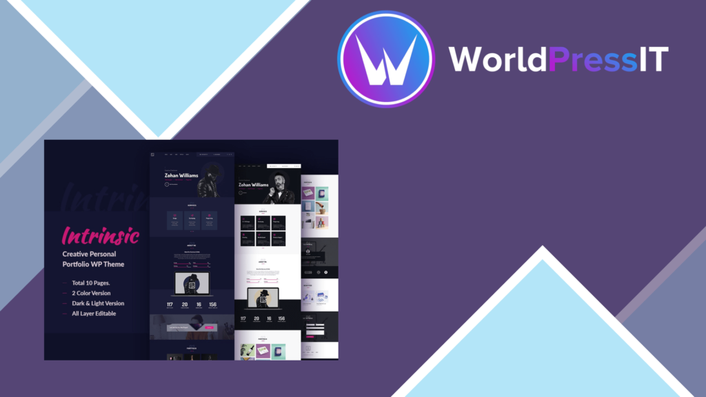 Intrinsic Creative Personal Portfolio WordPress Themes