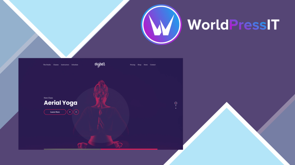 CSS Igniter Vigour WordPress Theme