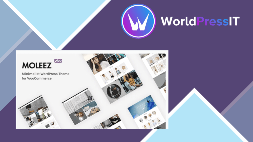 Moleez - Minimalist WordPress Theme for WooCommerce