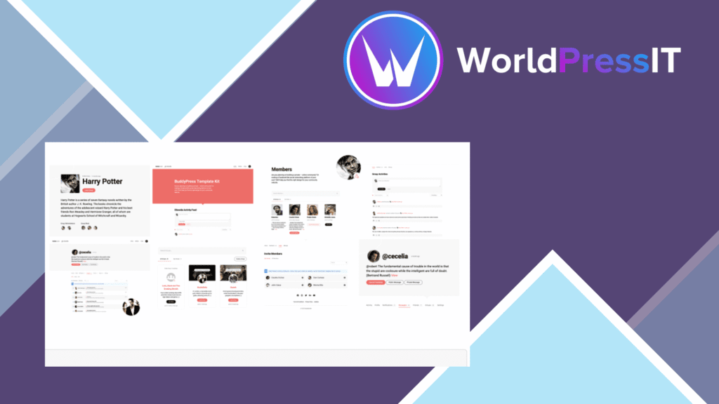 BuddyBuilder Pro – Great Features and options to Customize Your BuddyPress Community