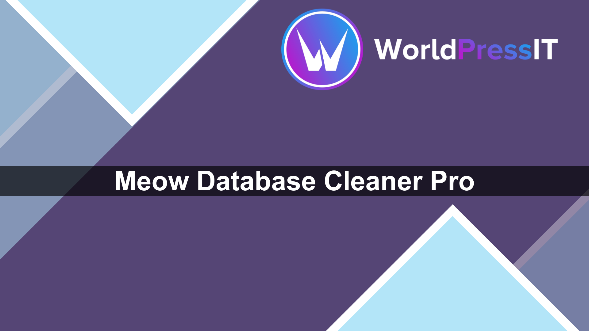 Meow Database Cleaner Pro - WorldPress IT