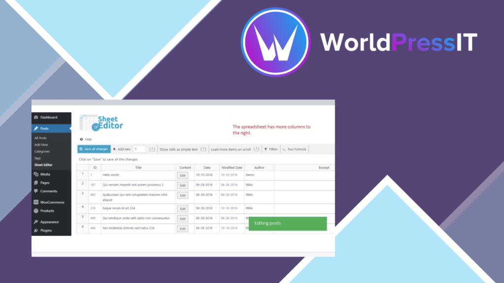 WP Sheet Editor -  Taxonomy Terms Pro