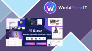 Bizex - Business Consulting