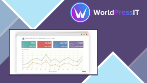 Visitor Traffic Real Time Statistics Pro