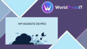 WP Migrate DB Pro