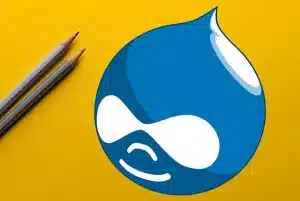 Drupal-Consulting-Image