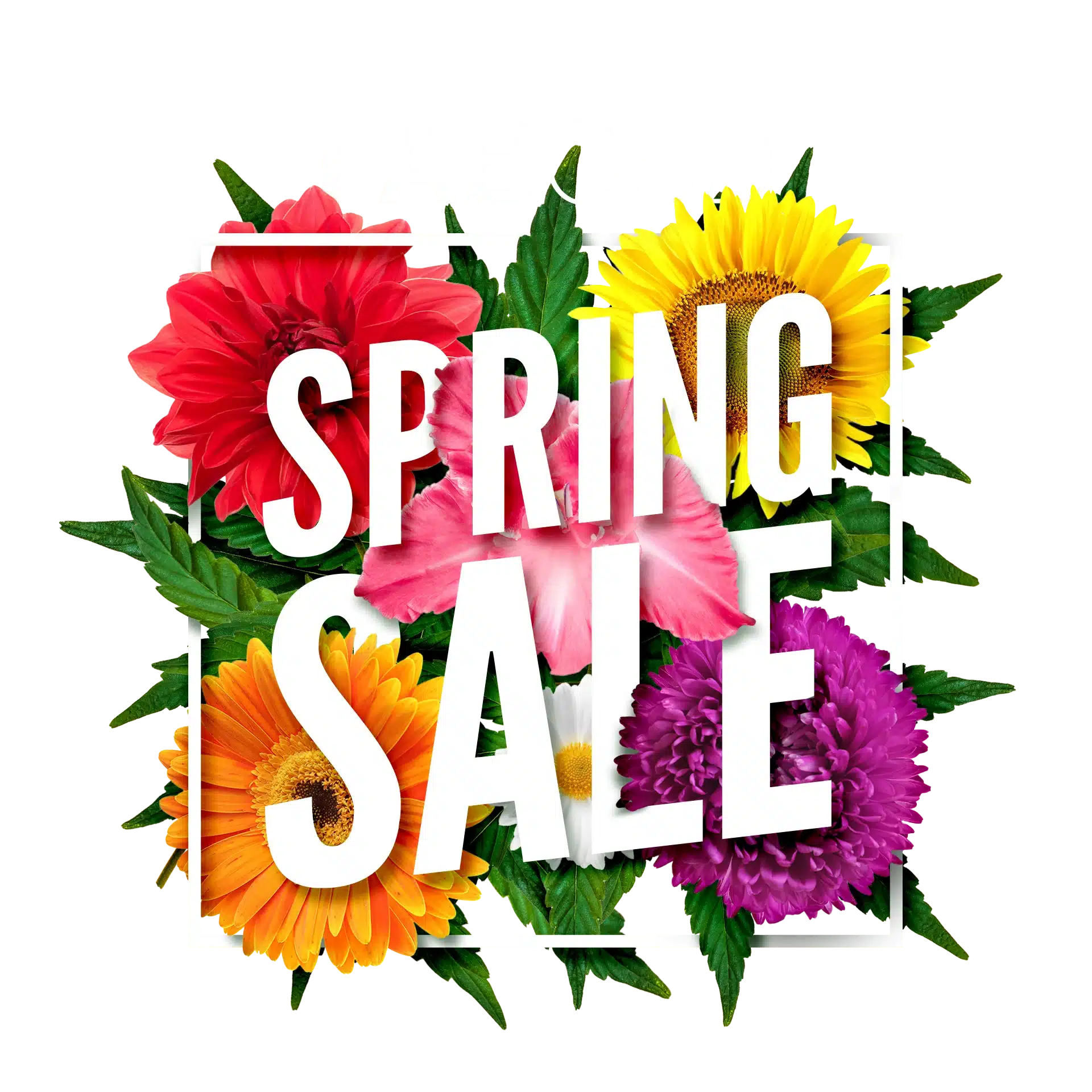 springsalegraphic-1649255699676