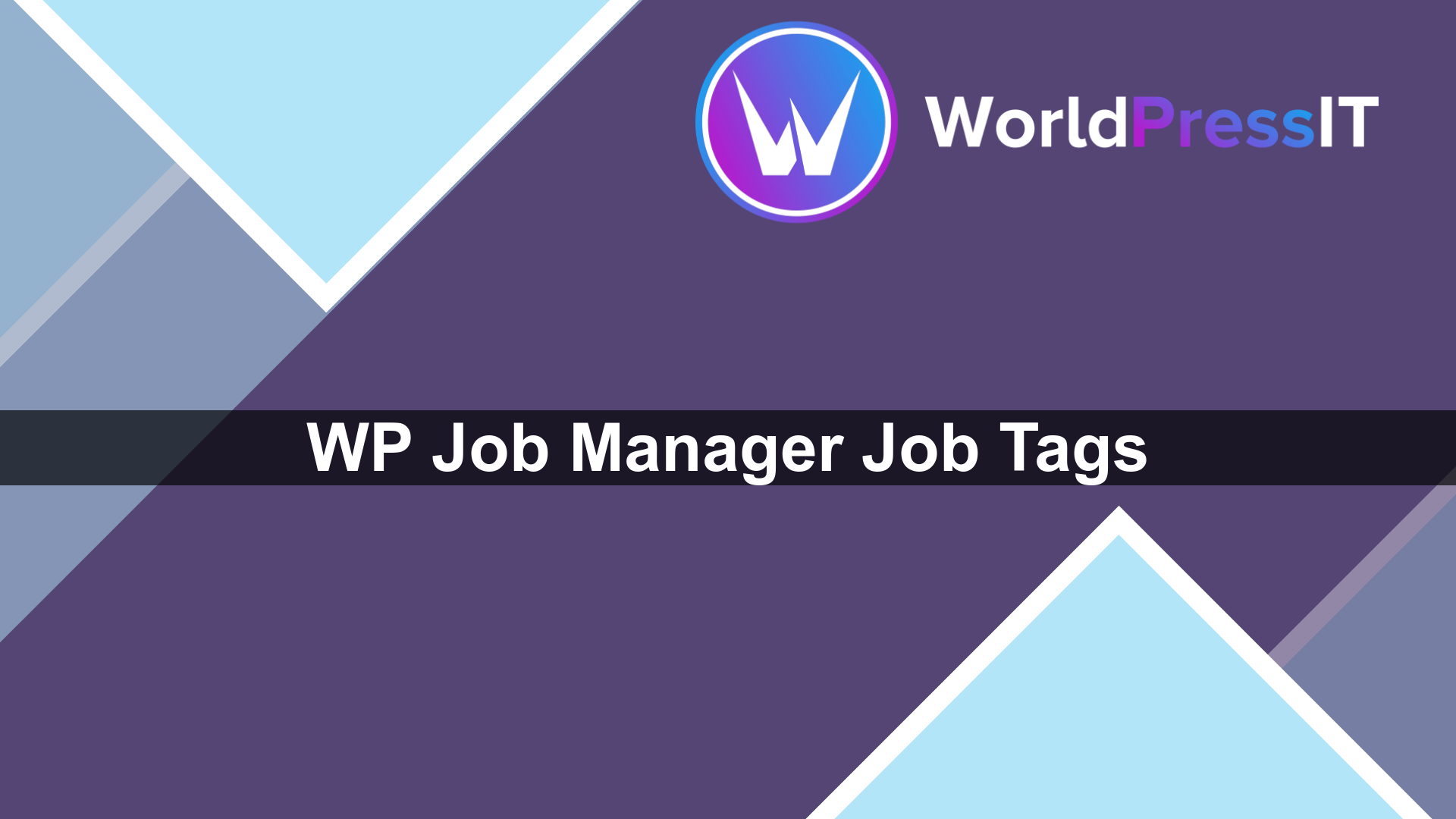WP Job Manager Job Tags - WorldPress IT