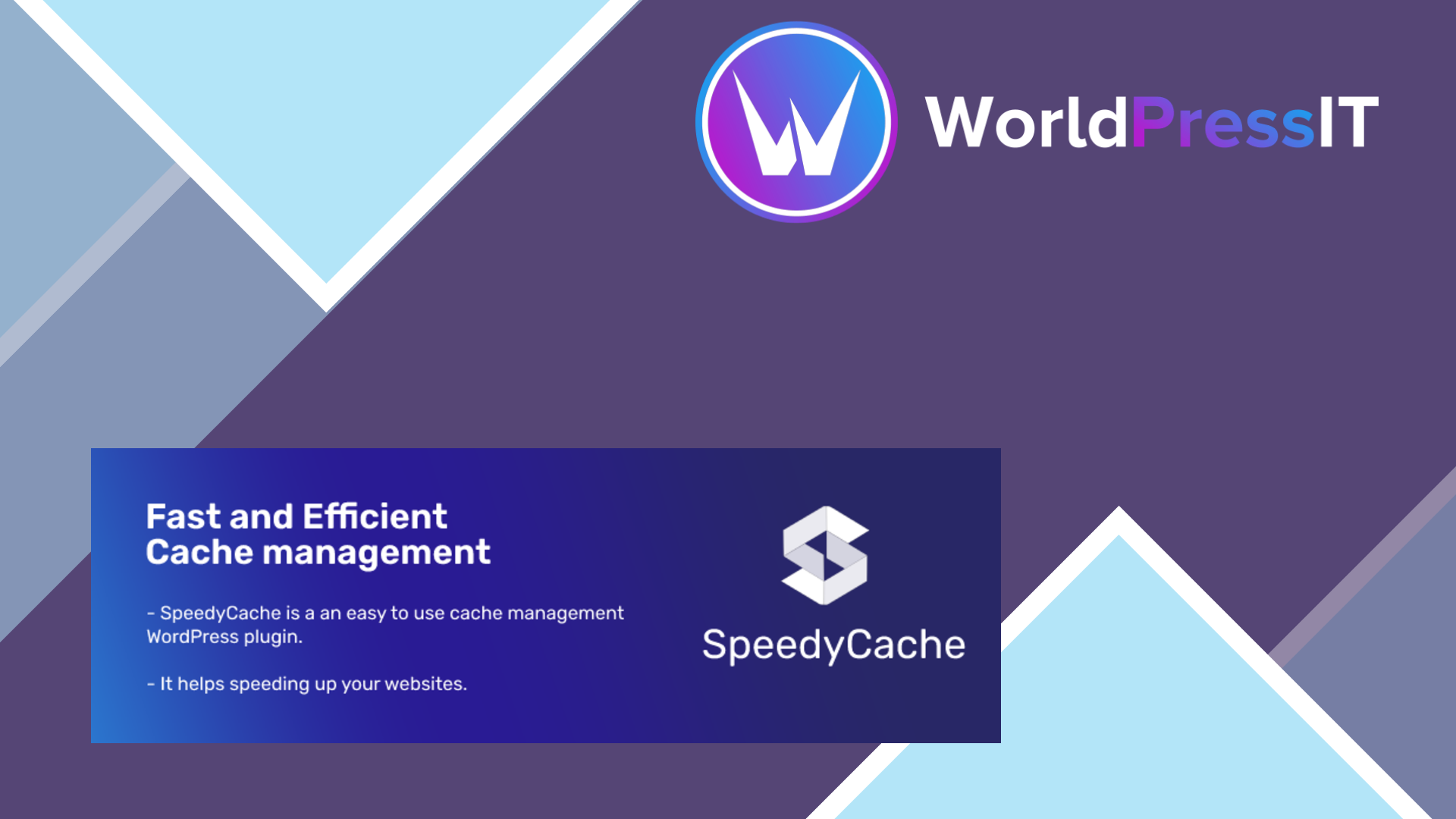 SpeedyCache Pro – Cache, Optimization, Performance - WorldPress IT