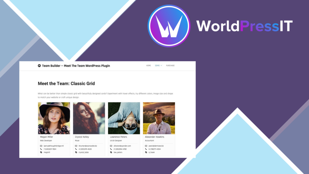 Team Builder - Meet The Team WordPress Plugin