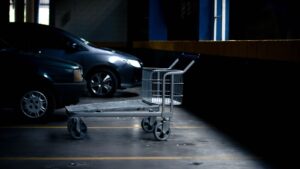 E-Commerce: Shopify vs. WordPress 2020