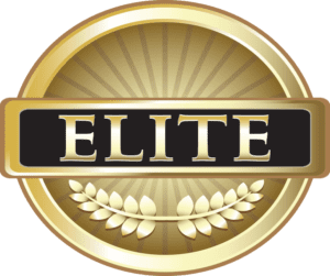 Yearly Premium Membership – Elite - WorldPressIT
