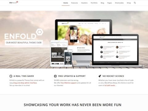 Enfold_WordPress_Theme-480x360